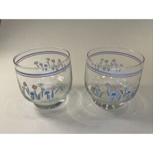 (2) Arcopal "Dany Collection" 8 Oz Vintage 1980s Glasses Floral Motif